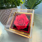 To My Daughter – Love Knot Necklace with Rose Box (Chapters Cross Card)